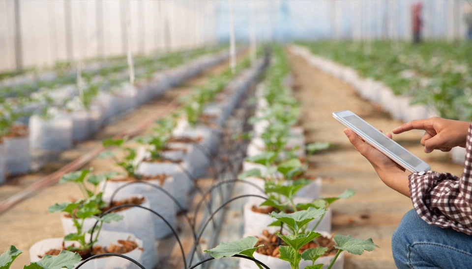 IR2005G for Remote Crop Monitoring (1)